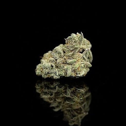 Santa Cruz Ocean Grown White Buffalo