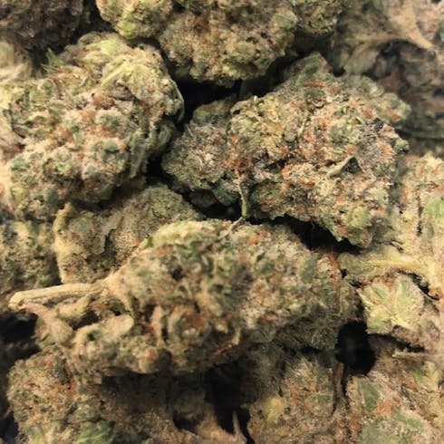 Dank Commander