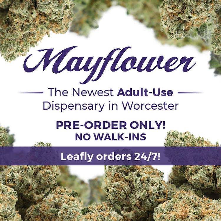 Mayflower - Worcester