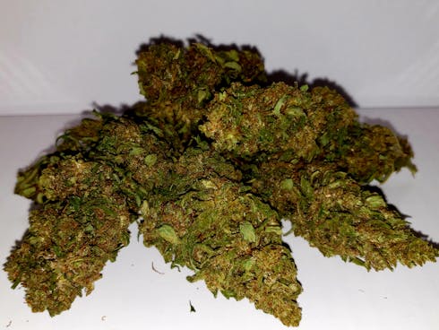 Suver Haze