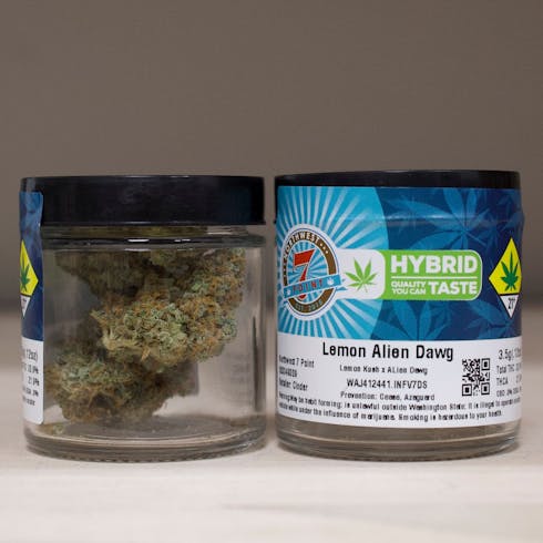 Lemon Alien Dawg by Northwest 7 Point
