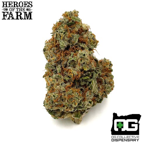 DOWNTOWN LOUNGE from HEROES OF THE FARM