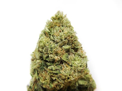Pink Lemonade by Paragon Farms