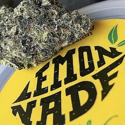 Lemonnade: Cake Mix