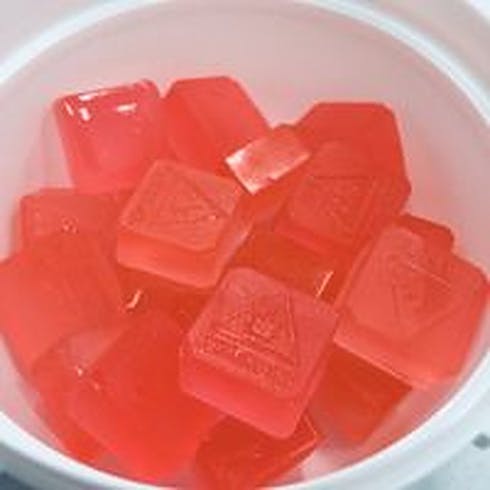 Watermelon Fruit Chews 20 Pack