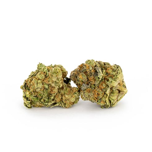 White Widow