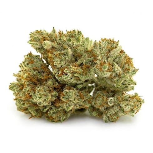 3.5g - Quest (Sativa) - Source Cannabis