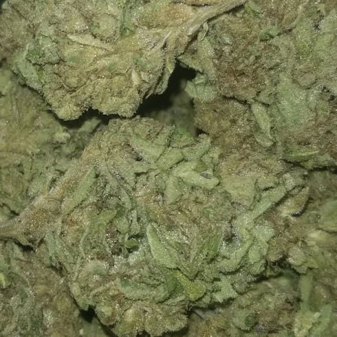 $75oz - Chem Fire OG (Ripped City)