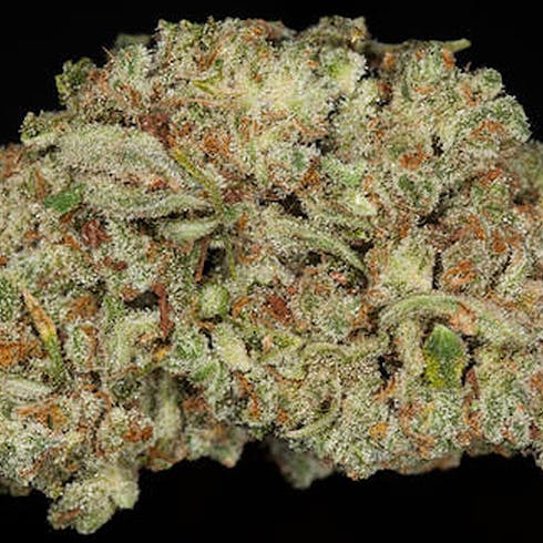 Trainwreck | Cannabis Nation