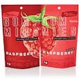 Sour Raspberry Ice Hash Gummies | 50mg | 5 Pack