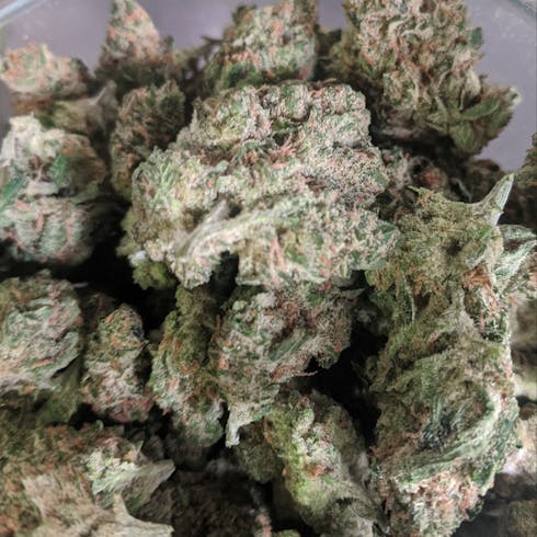 Lilac Diesel