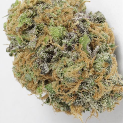 REV Grand Daddy Purple