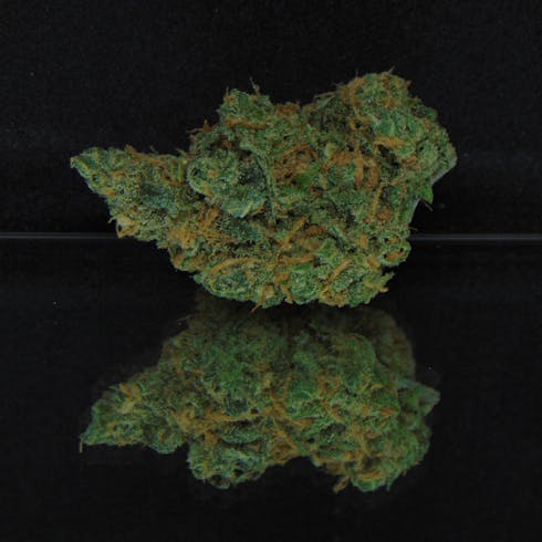 Blue Dream (Haze x Blueberry) *Sativa Hybrid