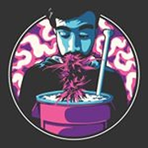 Viper Cookies Rosin - Bo's Nose Knows