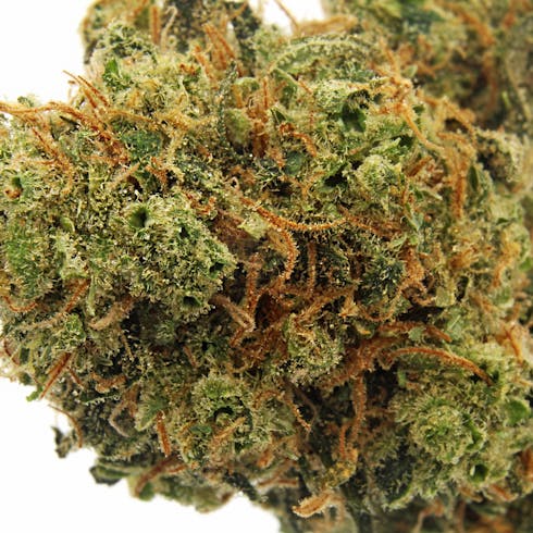GOLDEN PINEAPPLE | HERBAL DYNAMICS