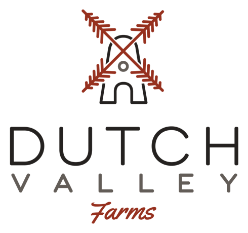 Old Dirty Blueberry - Dutch Valley