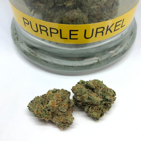 Purple Urkel