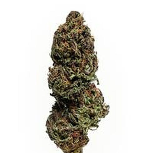 TLC CBD Flower