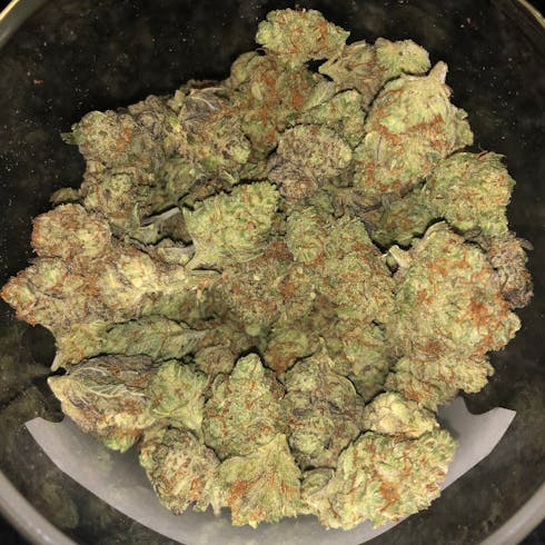 Sugar Black Rose