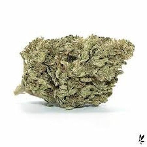 Biscotti by Dime Bag