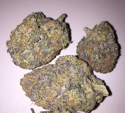 Purple Punch (Indica)