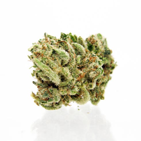 Super Glue by Ripped City Gardens