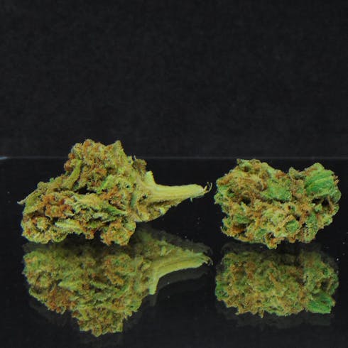 Chem Cookies (ChemDawg #4 x GSC) *Indica Dominant Hybrid