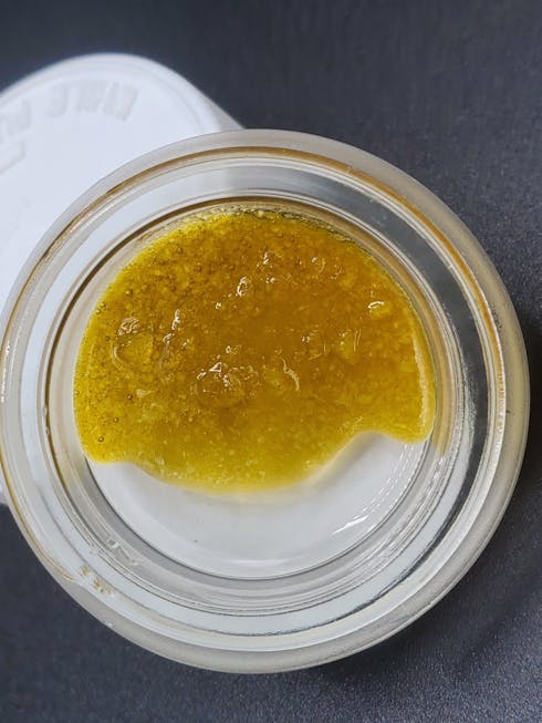 MED 21+ Mob Trainwreck Terror Sugar Wax