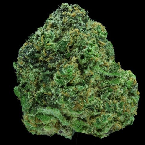 King's Garden : Platinum Blue Dream