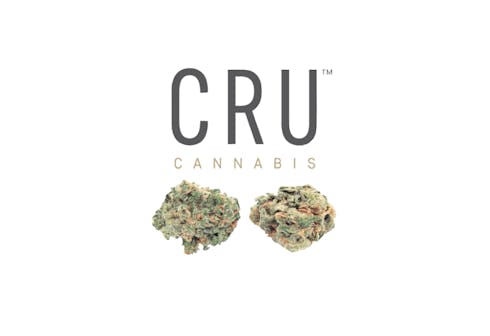 CRU: Roll's Choice