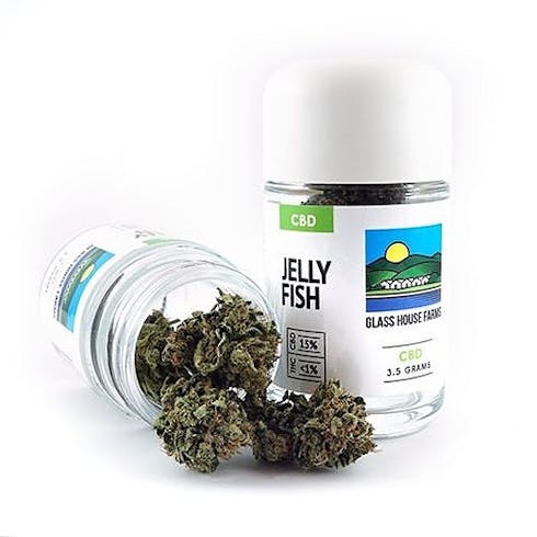 GlassHouseFarms Jelly Fish CBD 3.5g