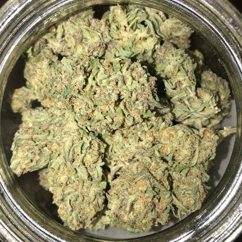 Afghan Kush - Indica