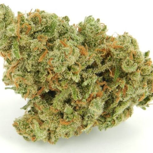 LEMON MENRIGUE
