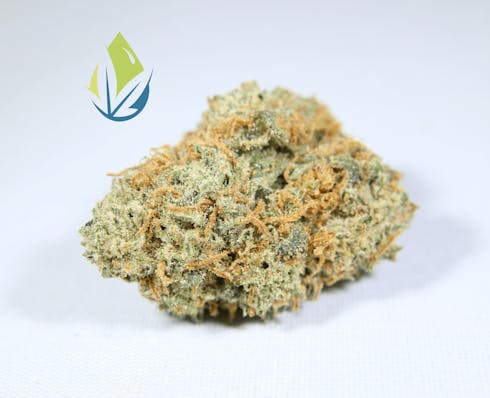 Lemon Skunk