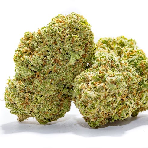 MED 21+ Blue Cheese (I)