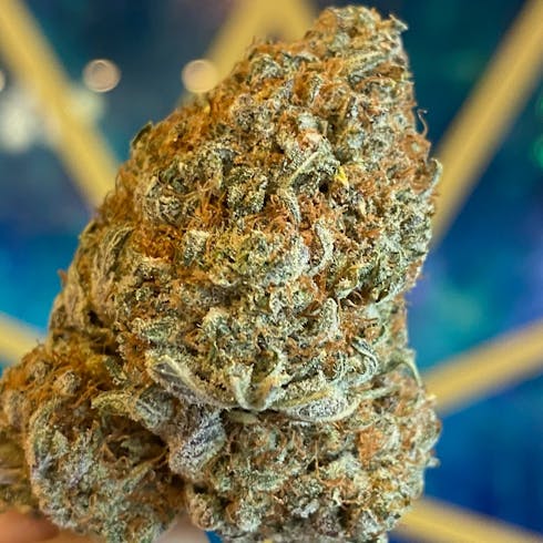 BLACK CHERRY PUNCH (TAX INCLUDED)