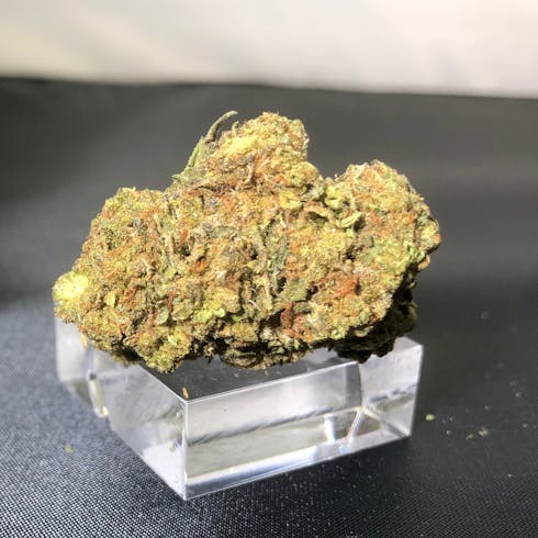 Gorilla Cookies