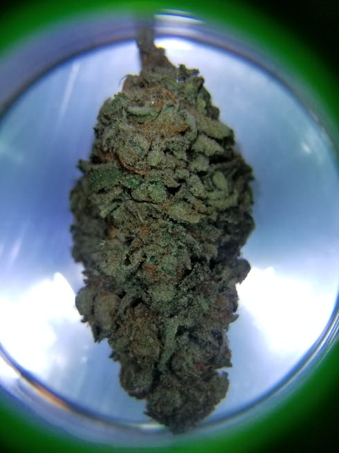ABOMINAL COOKIE MONSTER x ORANGE COOKIES x MAC
