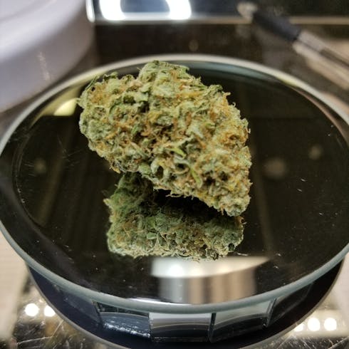waikiki queen