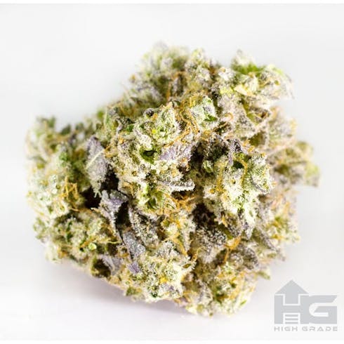 Grease Monkey (H)