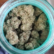 Pruf Cultivar Blackberry Octane