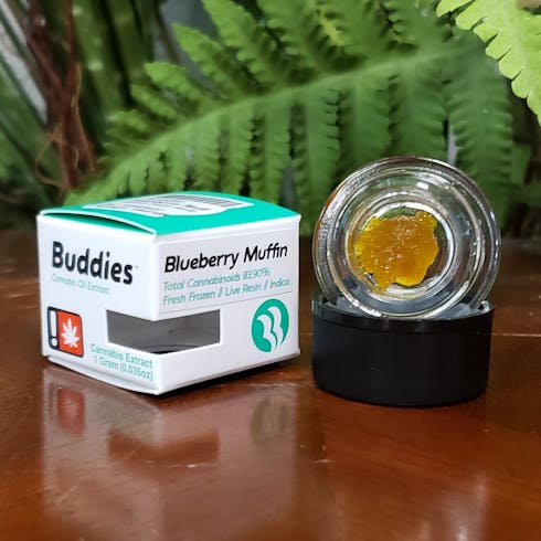Buddies - Blueberry Muffin