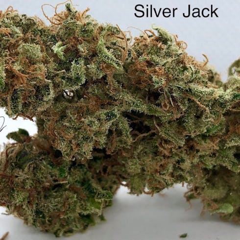 Silver Jack