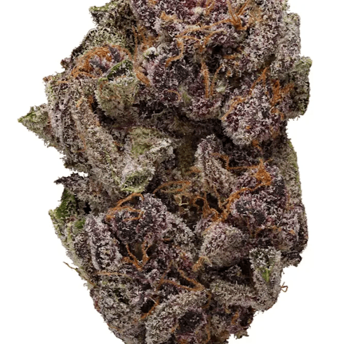 Silver Tier I Violets Delight