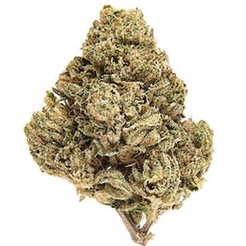 Skywalker O.G.