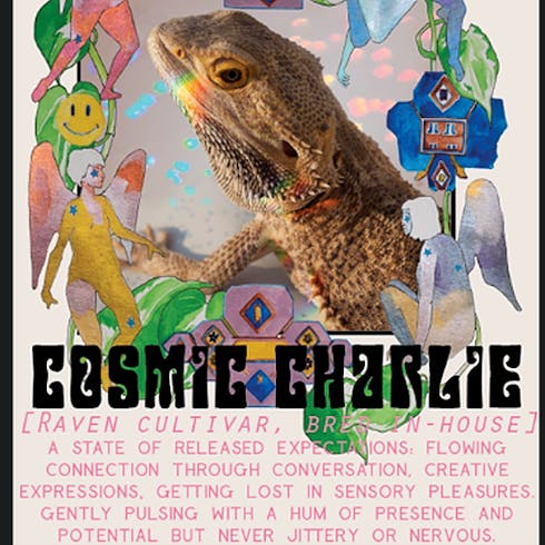 Cosmic Charlie