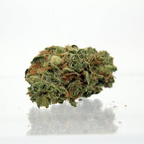 South African Rose - Eighth (3.5g)