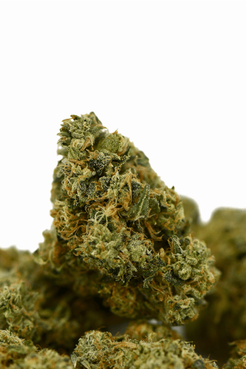 Fire OG - Top Shelf