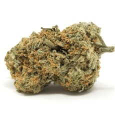 Cookies Flower Popcorn 7g- Black Cherry Gelato