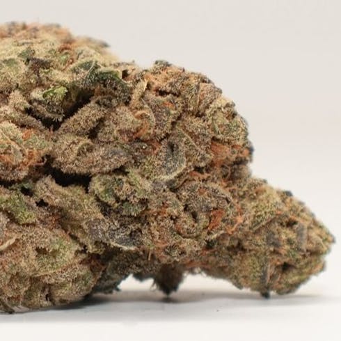Bruce Banner Buds